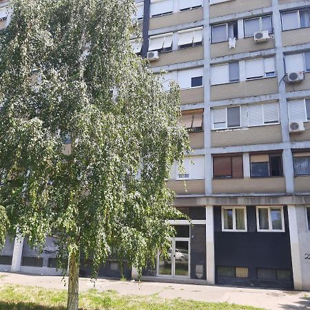 Appartement Blue Danube à Belgrade Extérieur photo