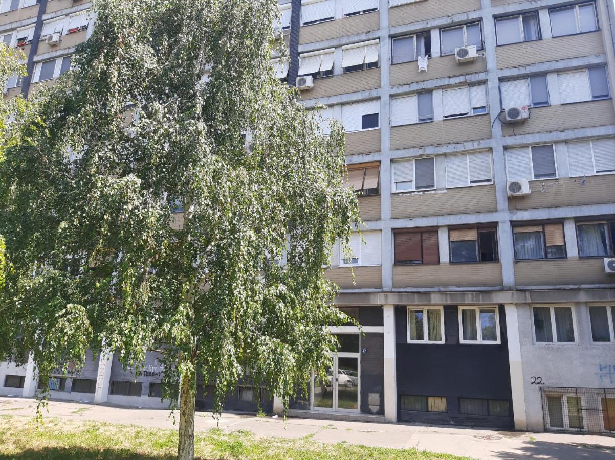 Appartement Blue Danube à Belgrade Extérieur photo